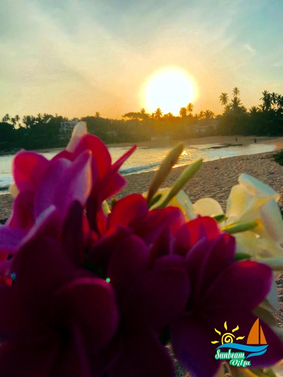 Sunbeam Villa แทนกาลเล ภายนอก รูปภาพ