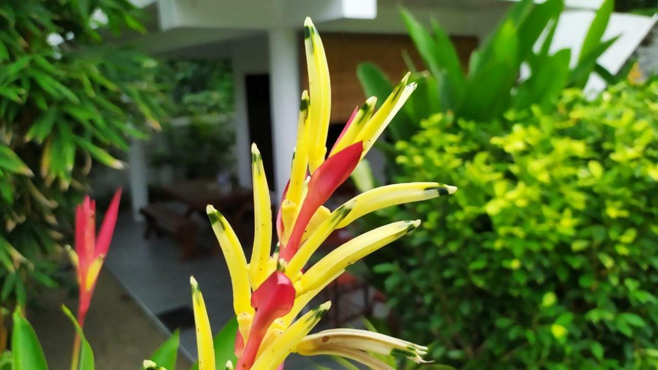 Sunbeam Villa แทนกาลเล ภายนอก รูปภาพ