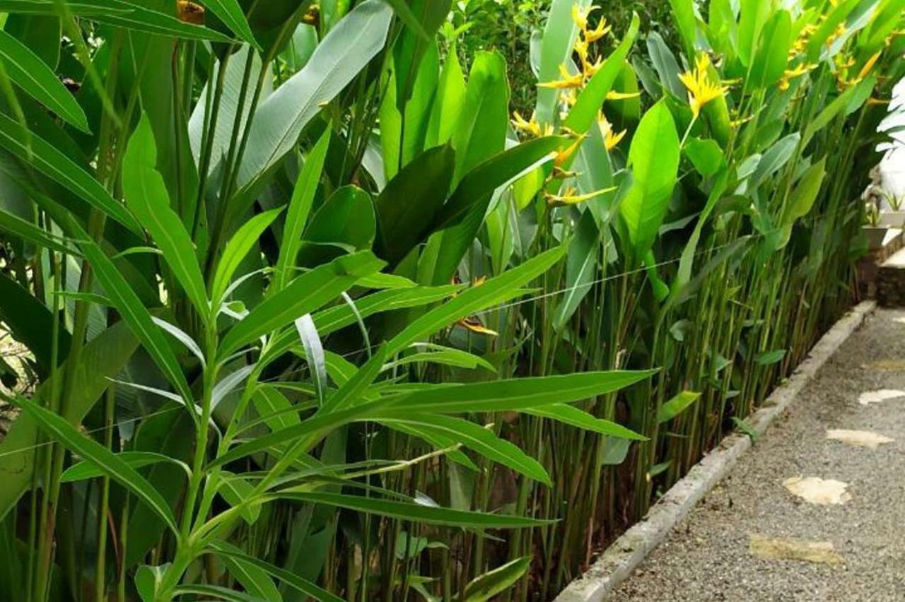 Sunbeam Villa แทนกาลเล ภายนอก รูปภาพ
